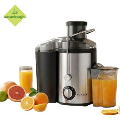Exracteur-de-jus-puissant-haut-de-gamme