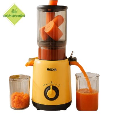 Extracteur-de-jus-haut-de-gamme-irreprochable