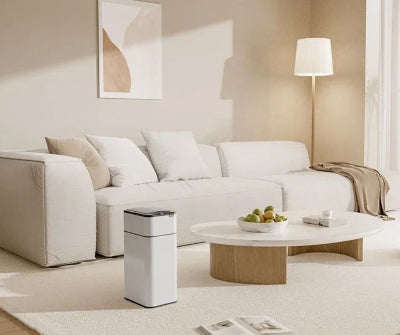 Poubelle-salon-intelligente-haut-de-gamme-vintage-1