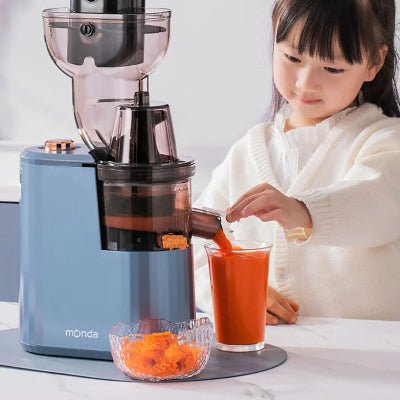 Extracteur de jus blender puissant centrifugeuse irréprochable - Cuisinelecoffret.com