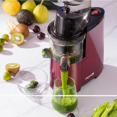 Extracteur de jus, presse agrume professionnel mixer de qualité supérieur - Cuisinelecoffret.com