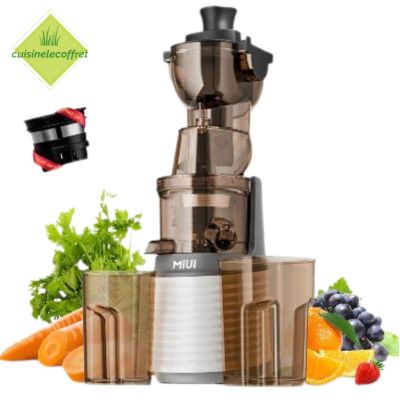 extracteur-de-jus-professionnel-centrifugeuse-jus-haute-performance-vital