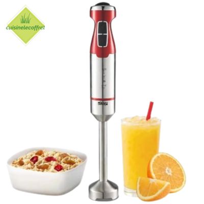 mixeur-fouet-haute-performance-melangeur-qualite-inegalee