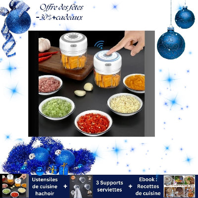 mixeur-hachoir-a-viande-polyvalent-rechargeable-robuste-portable