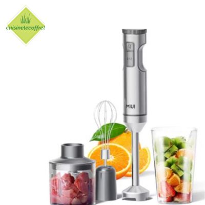 mixeur-hachoir-energique-vitesse-variable-mixer-plongeant-puissant-qualite-inegale-0